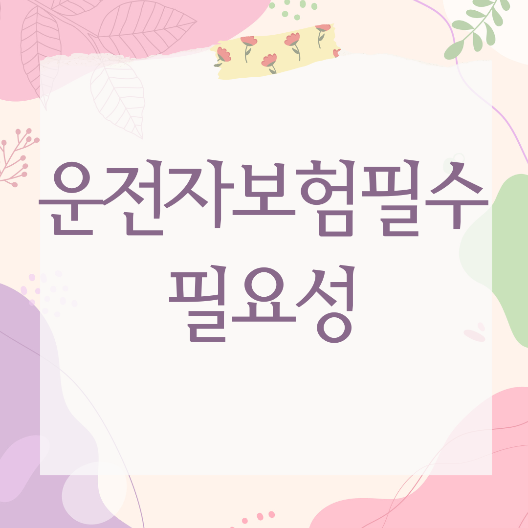 운전자보험필수 필요성