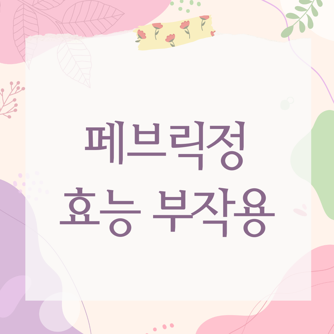 페브릭정 효능 부작용